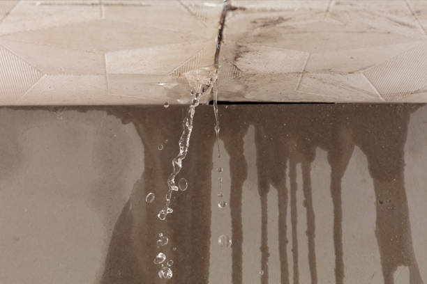 Professional Structural Drying technician working in Palermo, NJ
